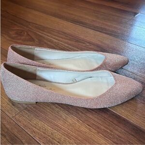 Zara Glittery Pink Flats